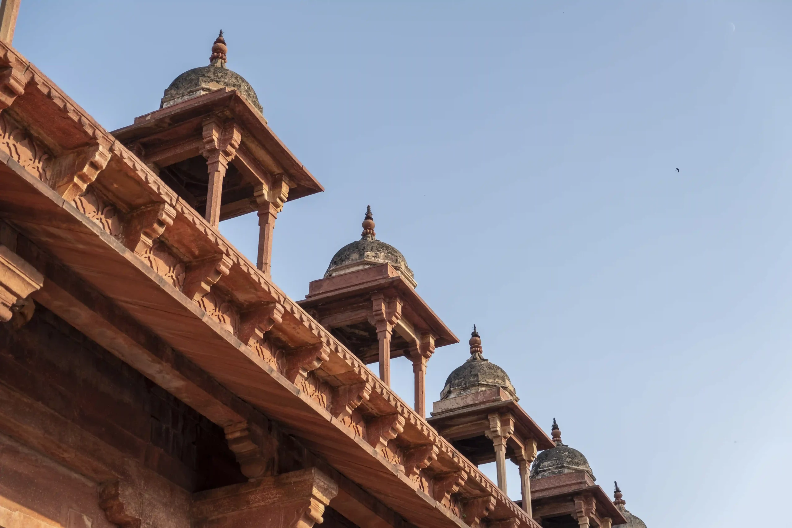 Best Astrologer in Amroha, Uttar Pradesh – D. A Super Star